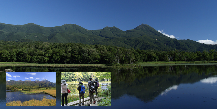 知床五湖一周ツアー（植生保護期以降）