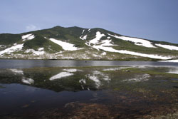 羅臼湖登山道